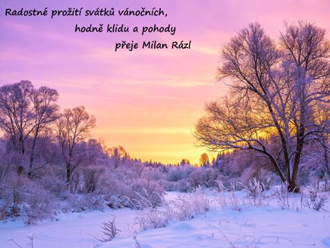 Foto 28